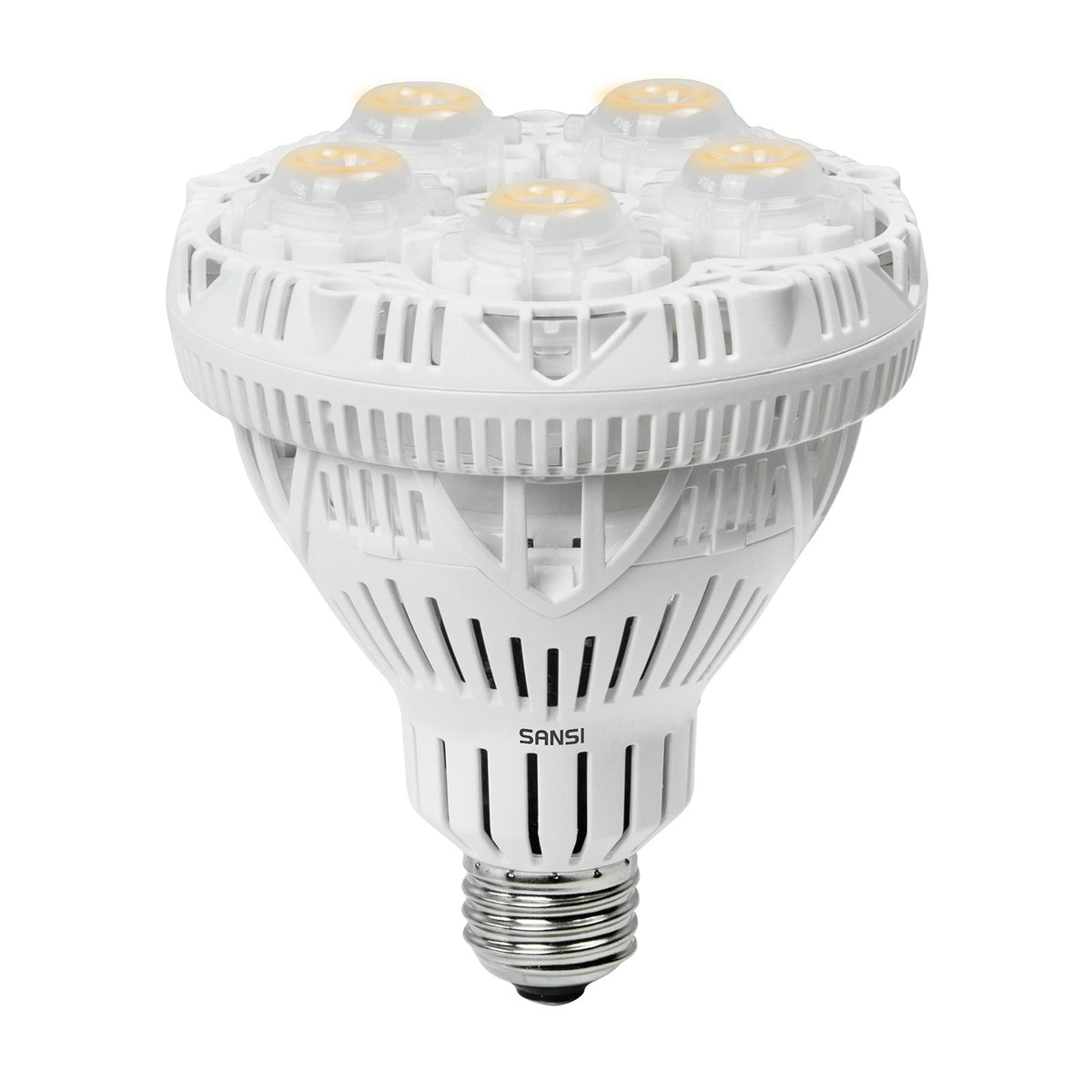 Light Bulb Full Spectrum BR30 24W LED