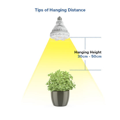 Light Bulb Full Spectrum BR30 24W LED