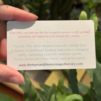 Natural Perfume Rollers