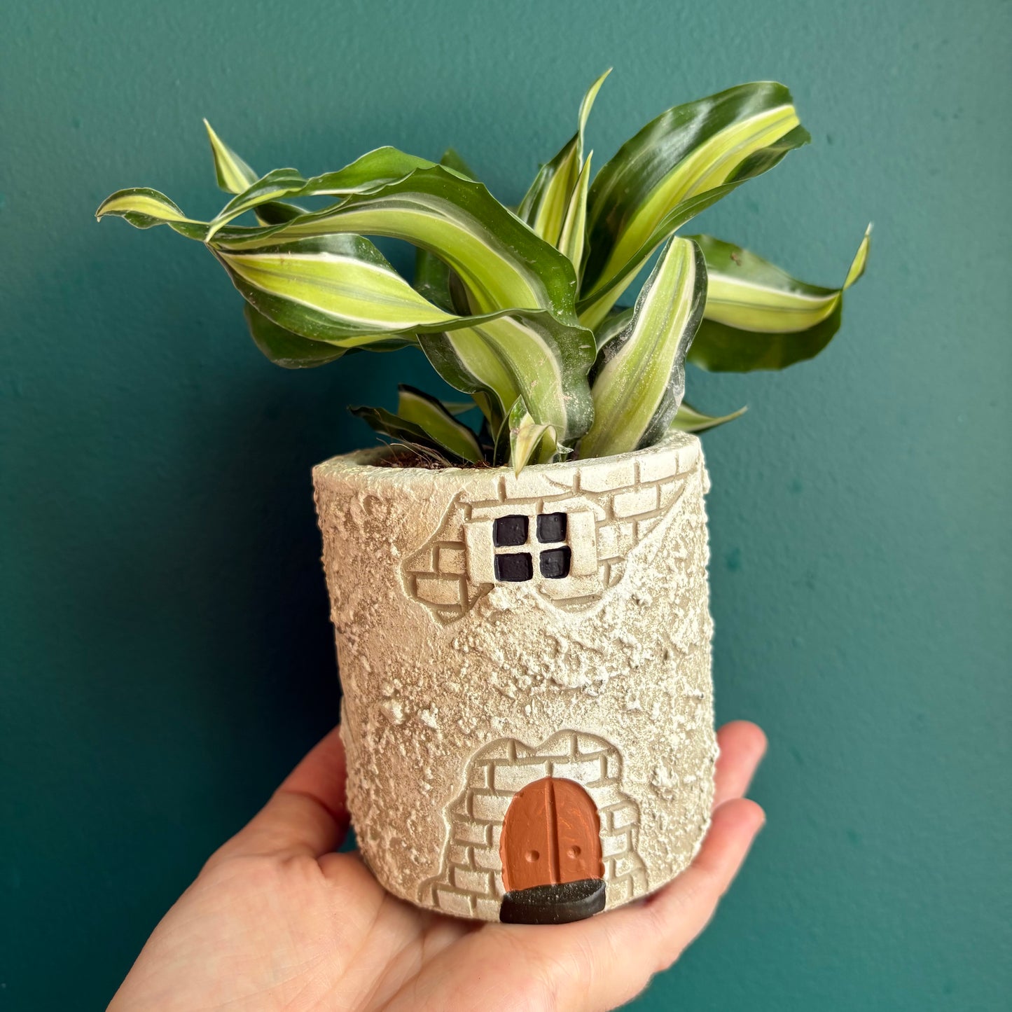Pot - Casa Mediterranean