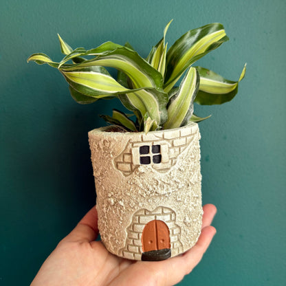 Pot - Casa Mediterranean