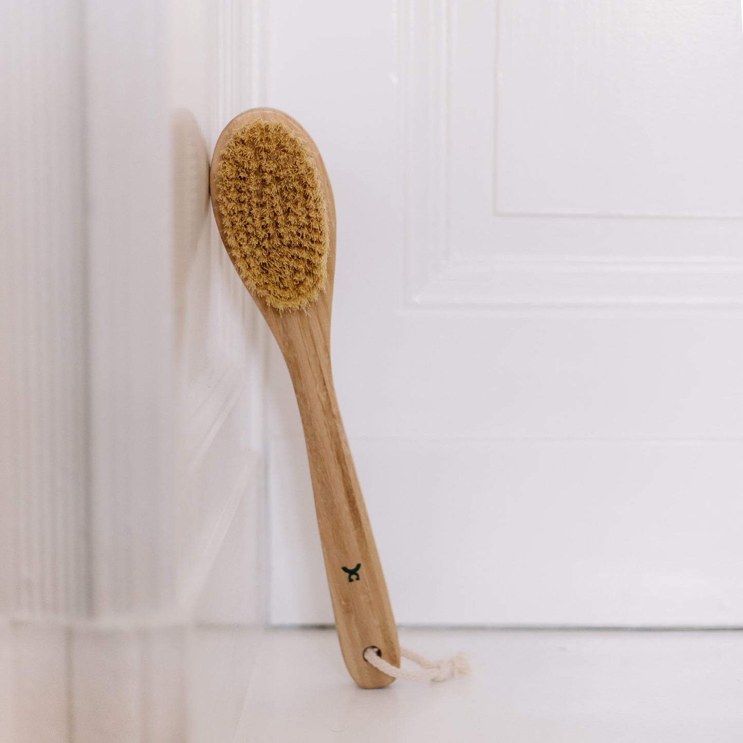Shower Loofah or Brush
