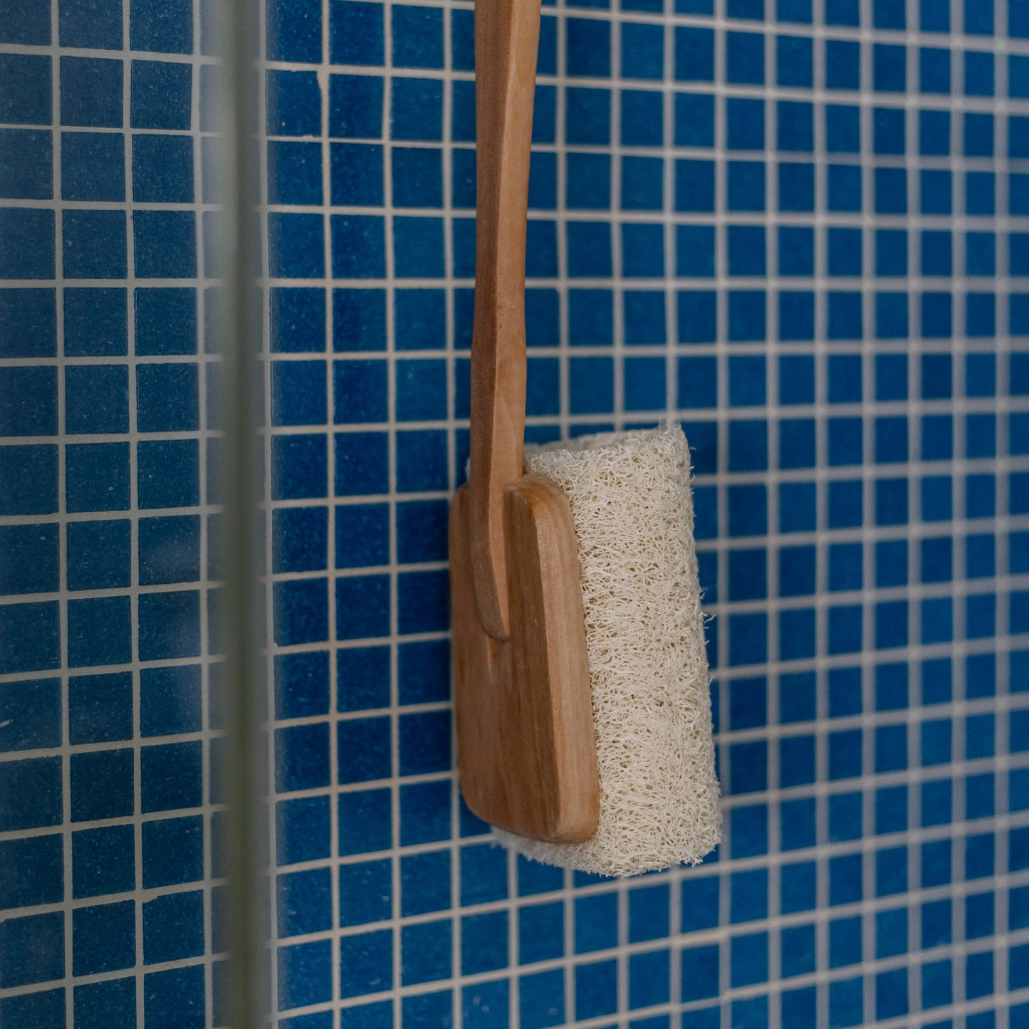 Shower Loofah or Brush