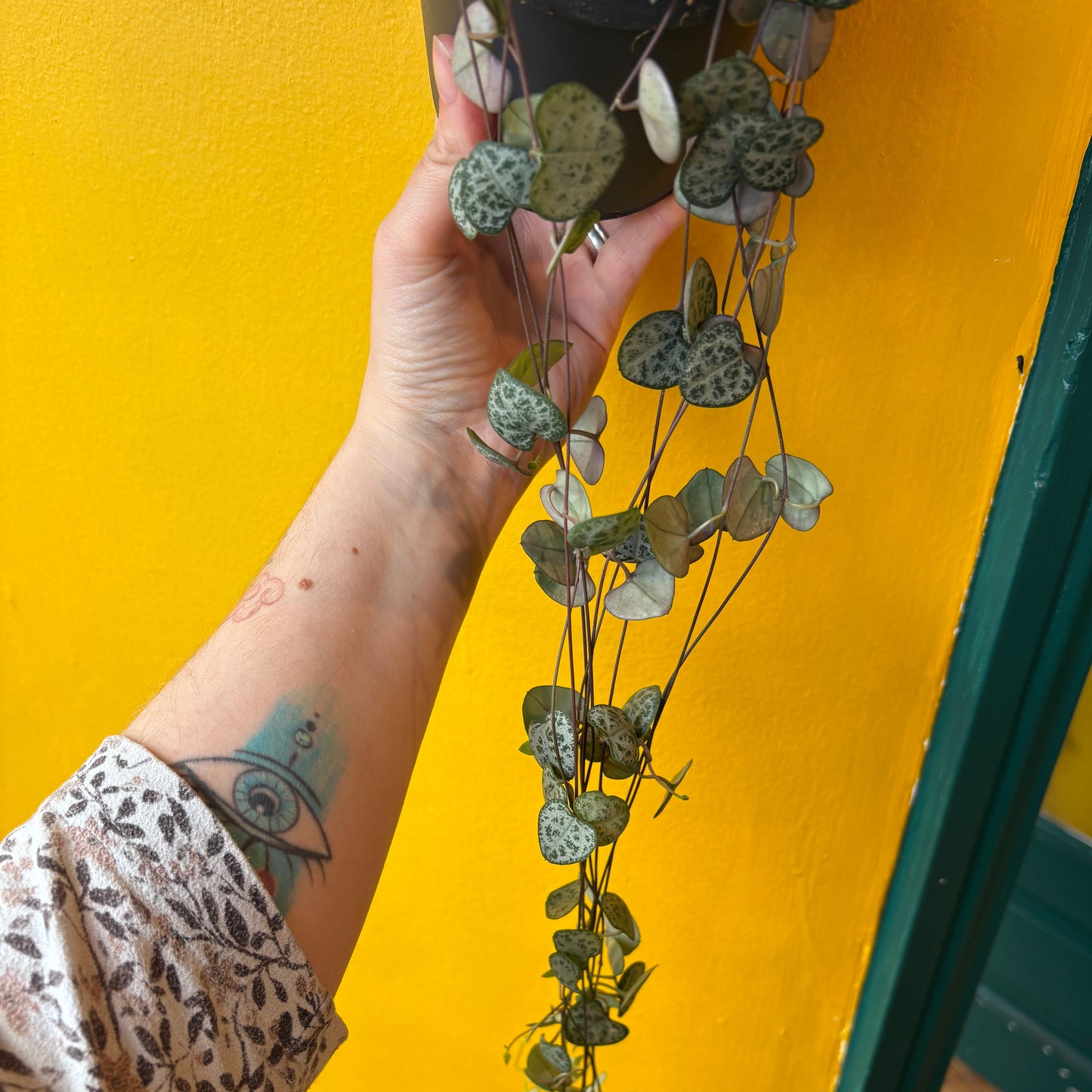 String of Hearts