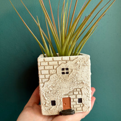 Pot - Casa Mediterranean