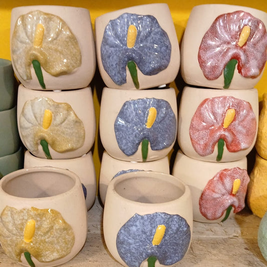 Pot - Anthurium (3 colours)
