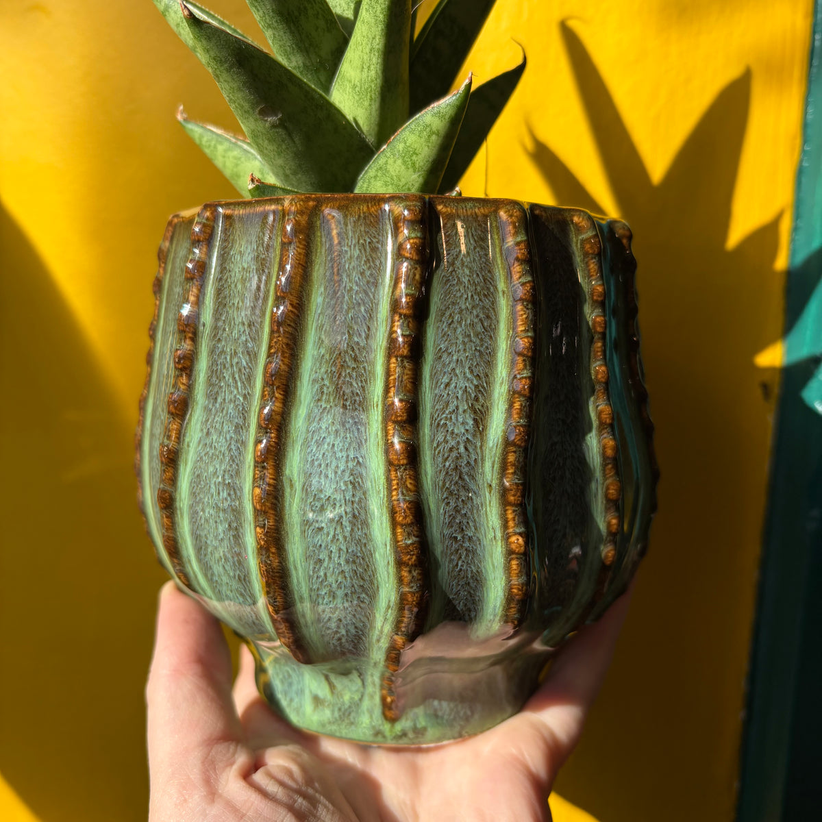 Pot - Cathy
