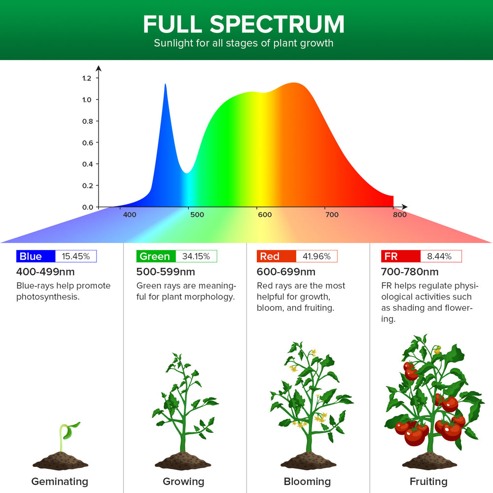 Light Bulb Full Spectrum 10W