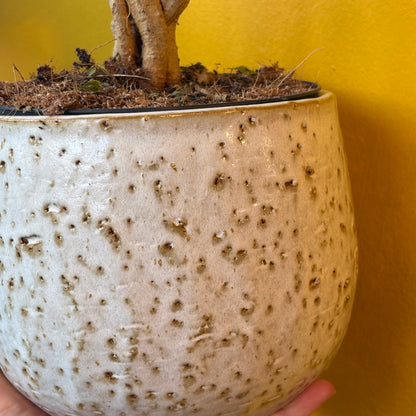 Pot - Nicolas (Taupe or Off-white)