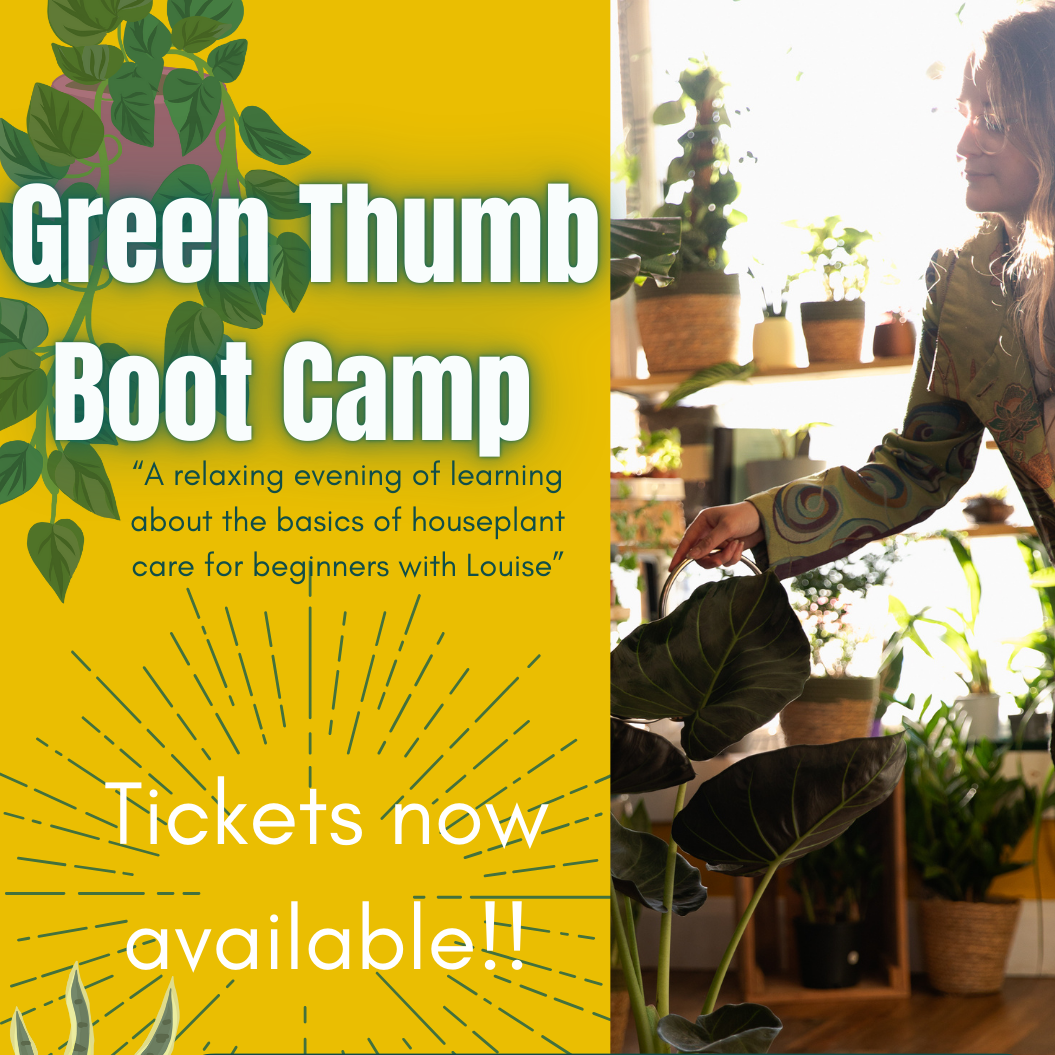 Workshop Ticket: Green Thumb Bootcamp 28/02/25