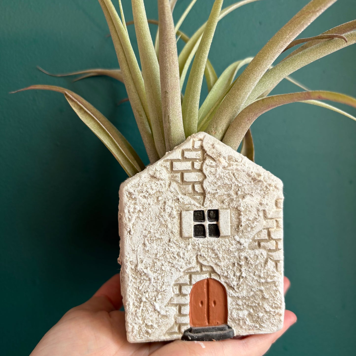 Pot - Casa Mediterranean