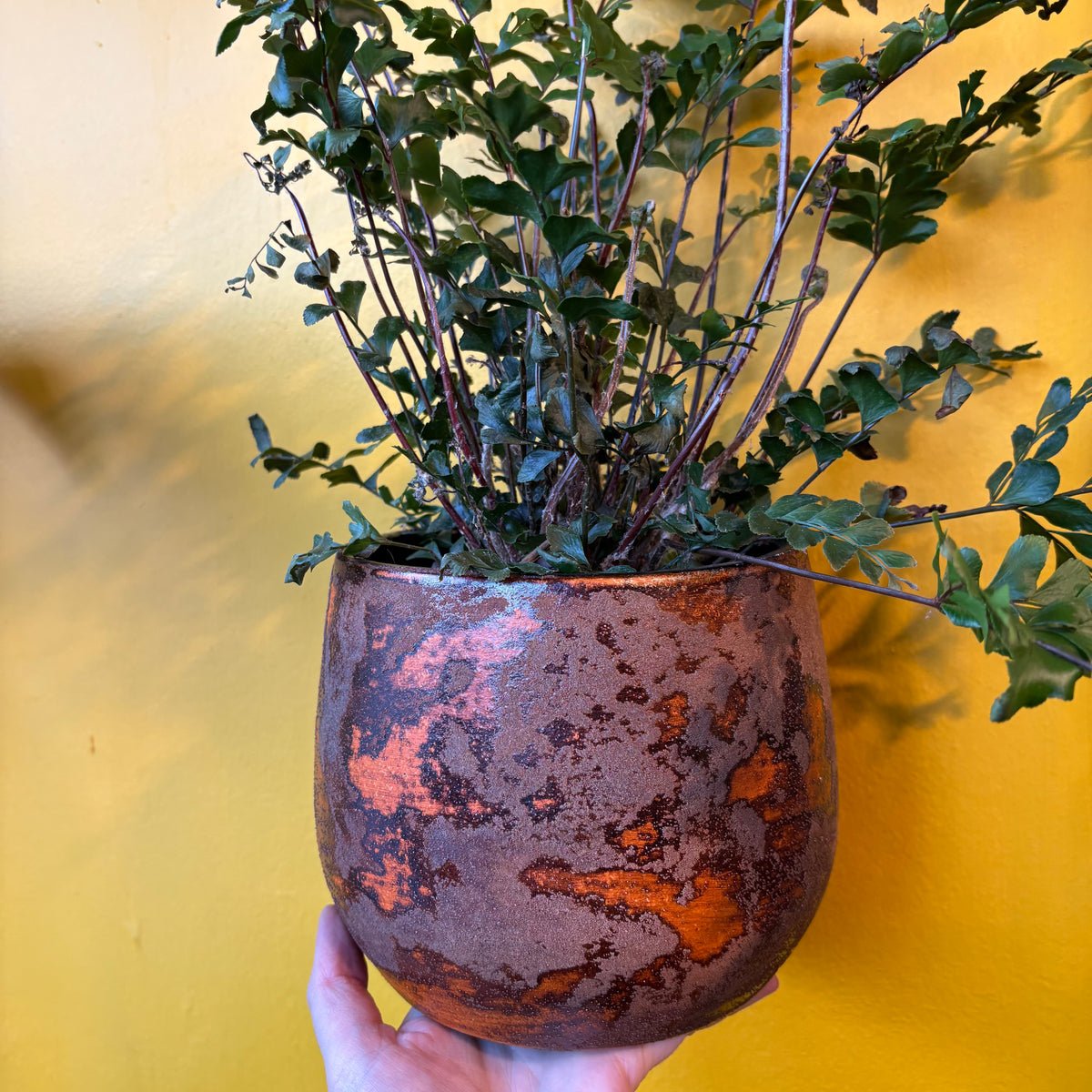 Pot - Olaf