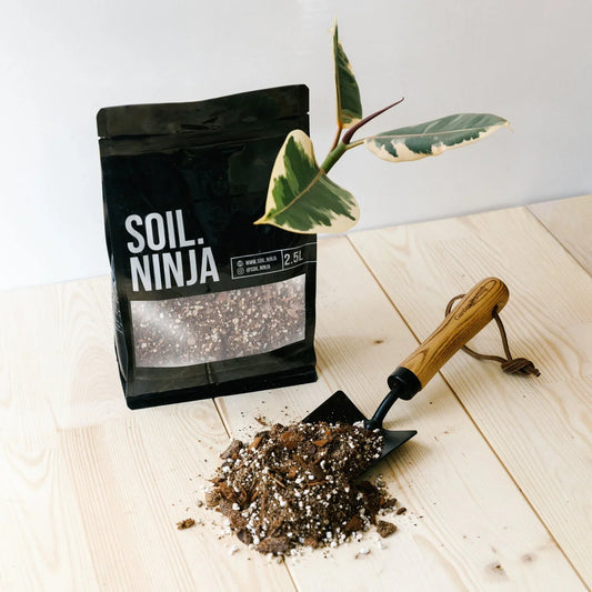 Soil Mix - Ficus 2.5L