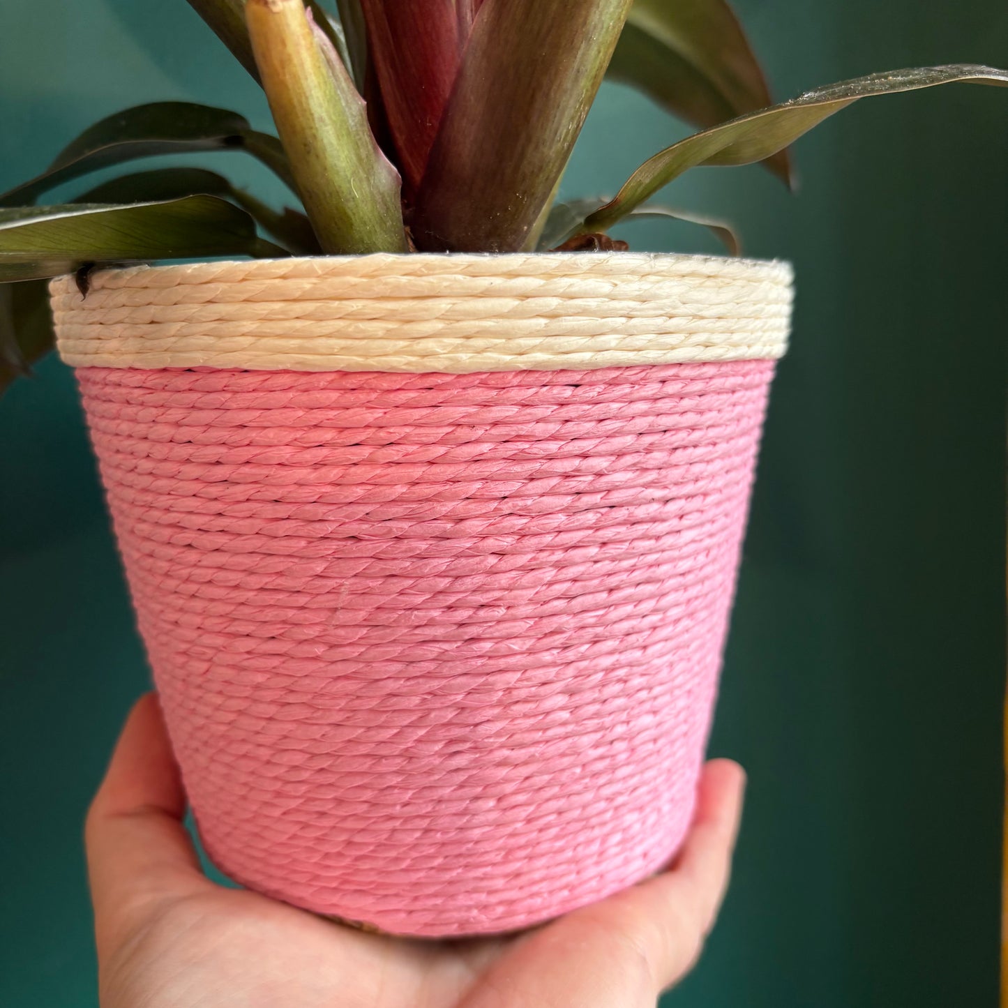 Basket - Mood Boosting Colours