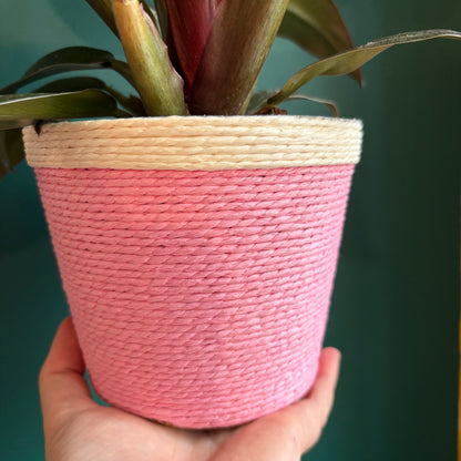 Basket - Mood Boosting Colours