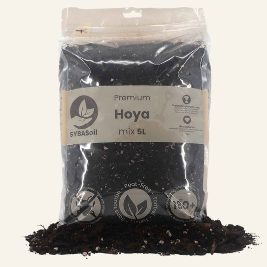 Soil Mix - Hoya