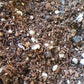 Soil Mix - Calathea/Maranta (Prayer Plants)