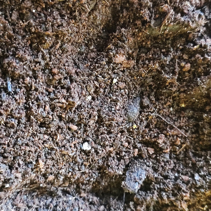 Soil Mix - Base