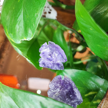 Amethyst Arrowhead