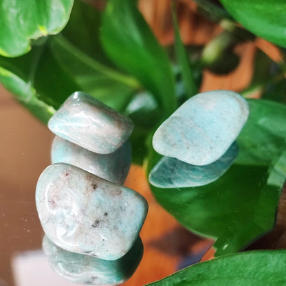 Amazonite Tumbles