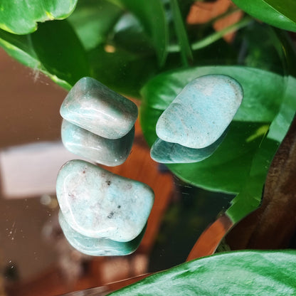 Amazonite Tumbles