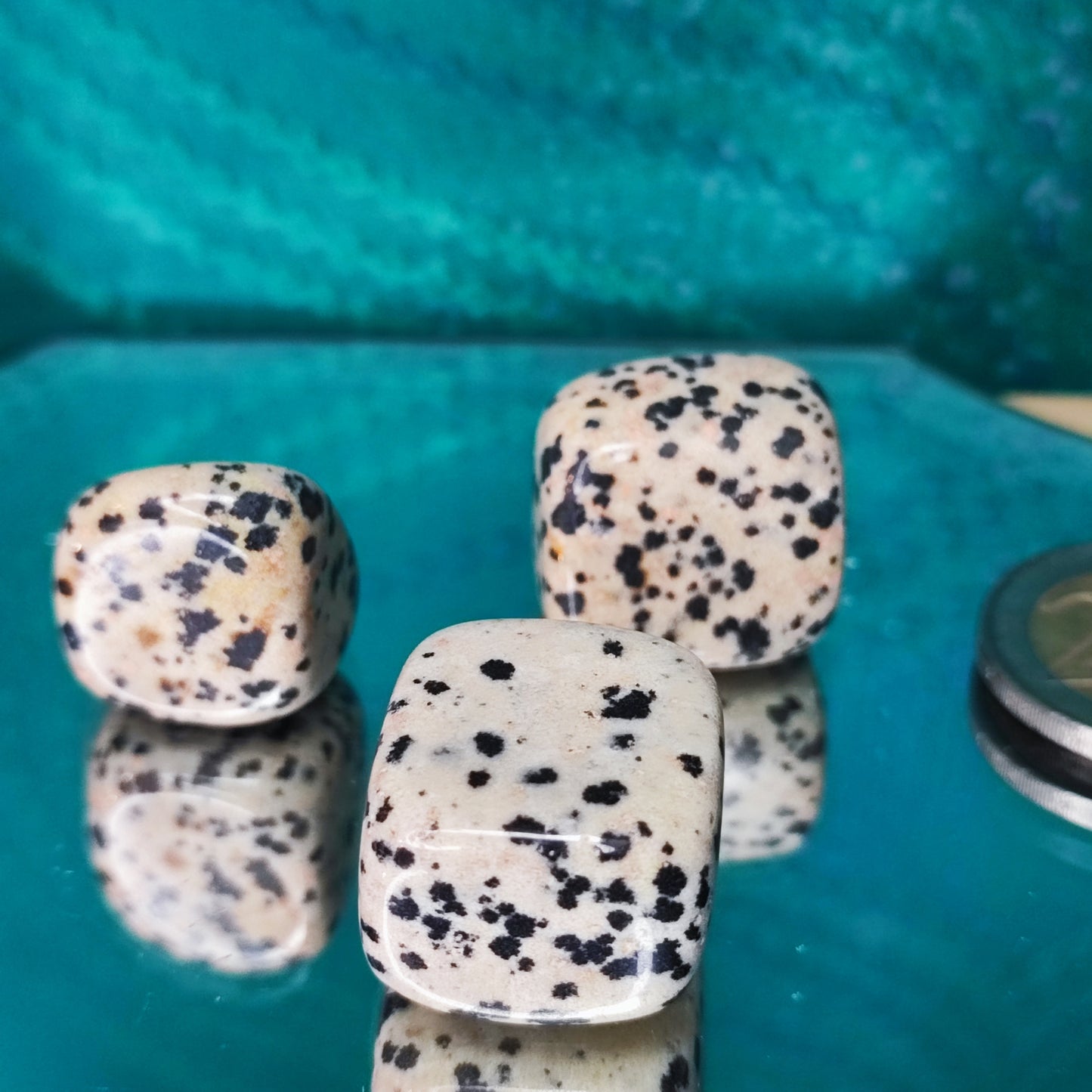 Dalmatian Jasper Tumbles