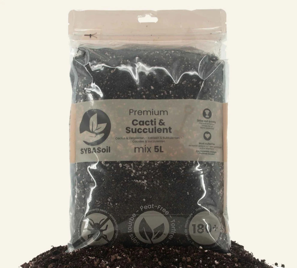 Soil Mix - Cacti/Succulent -5L