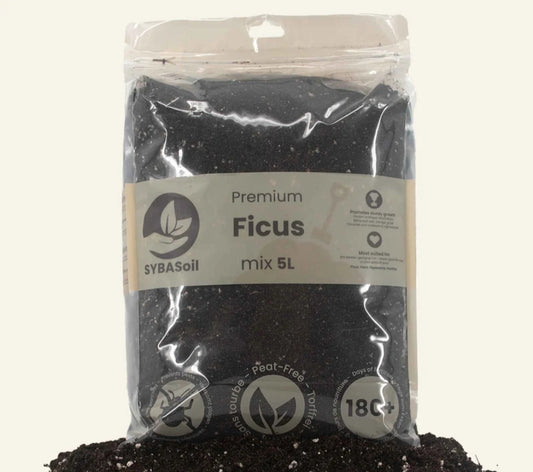 Soil Mix - Ficus