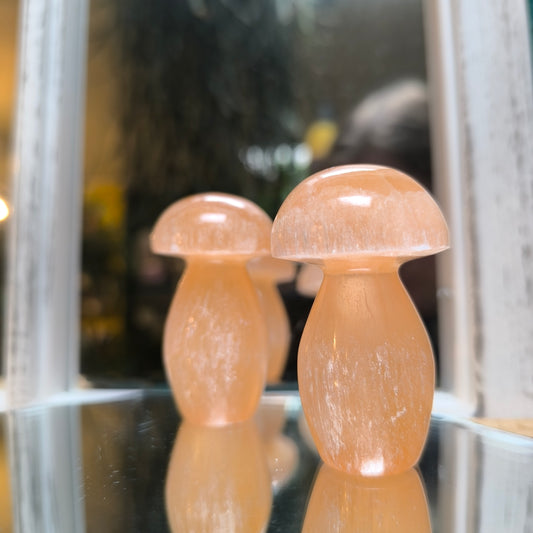 Orange Selenite Mushrooms