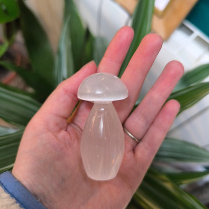 Selenite Mushrooms