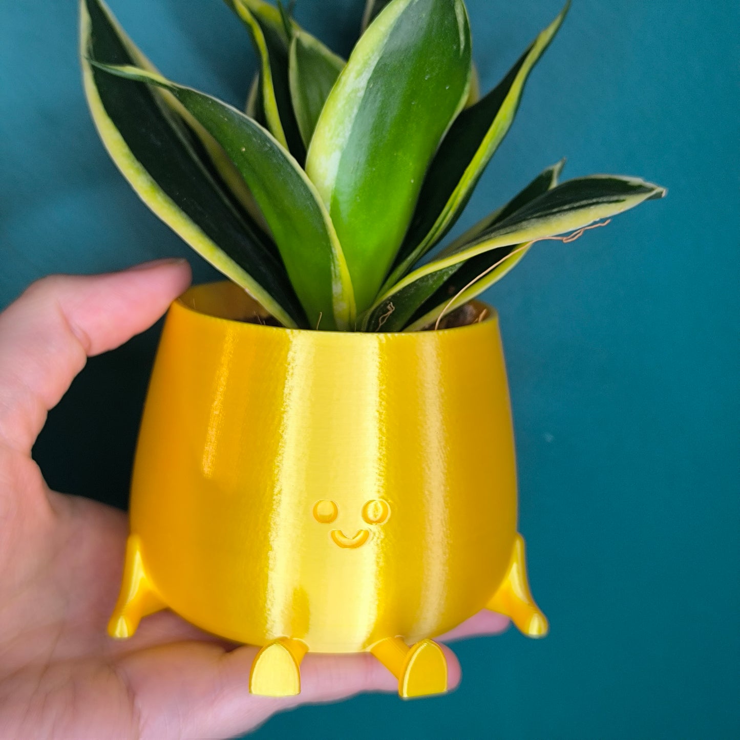 Happy Pot Mini