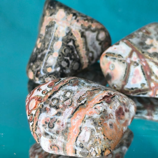 Leopard skin jasper tumbles