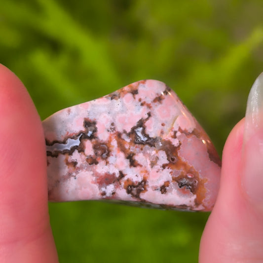Pink Orbicular Jasper Tumbles