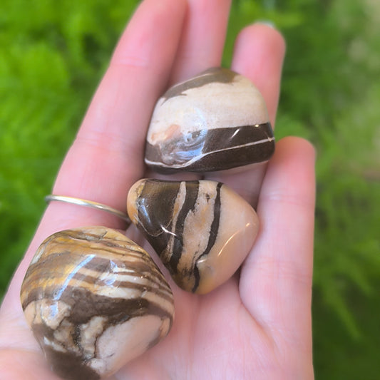 Zebra Jasper Tumbles