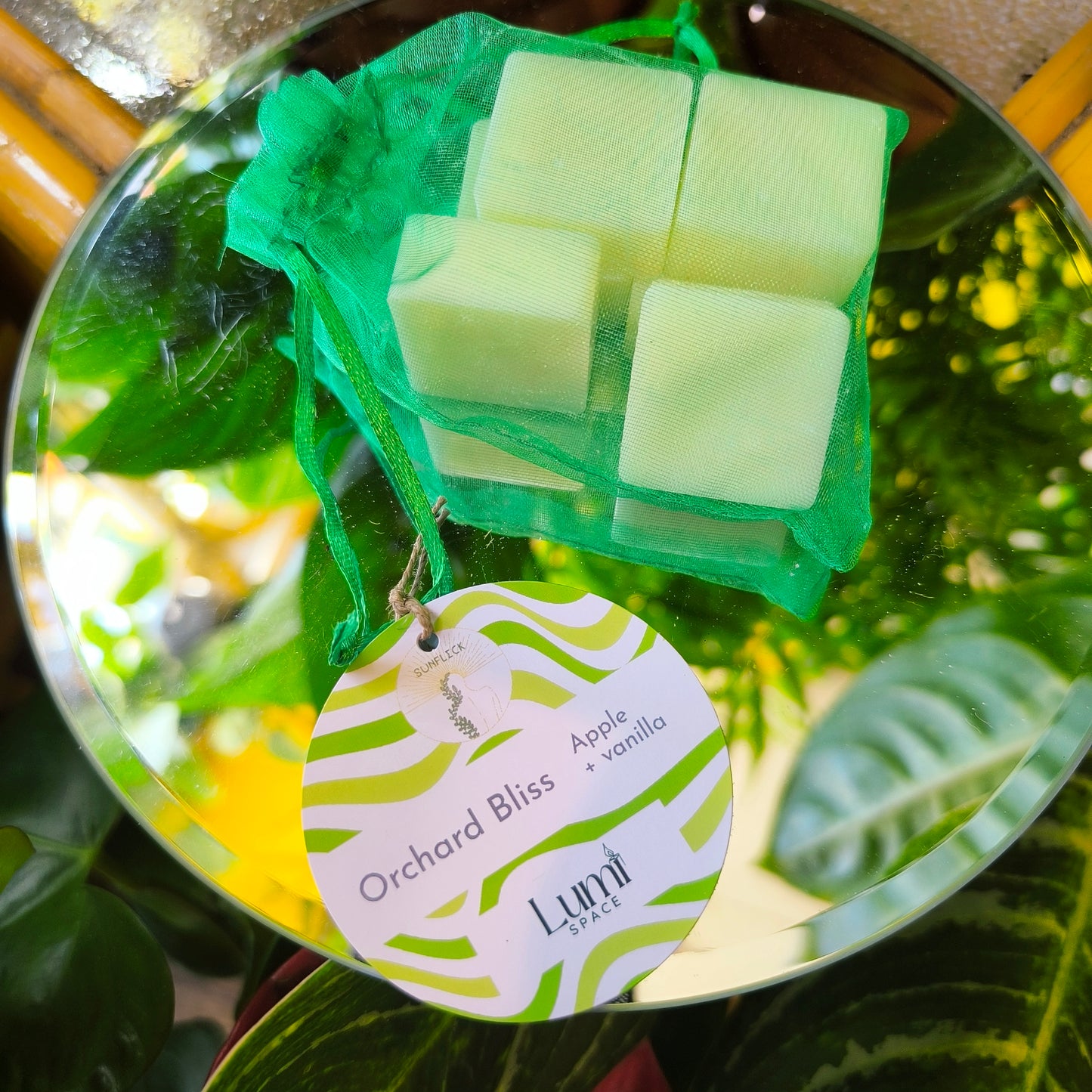Botanical Wax Melts