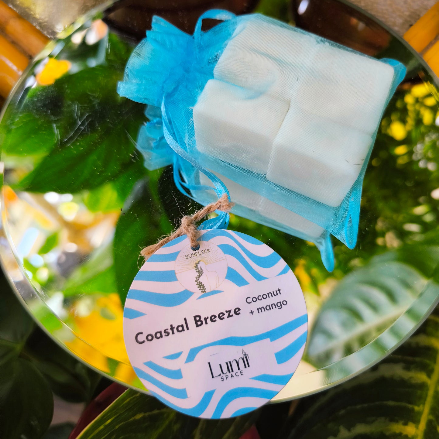 Botanical Wax Melts