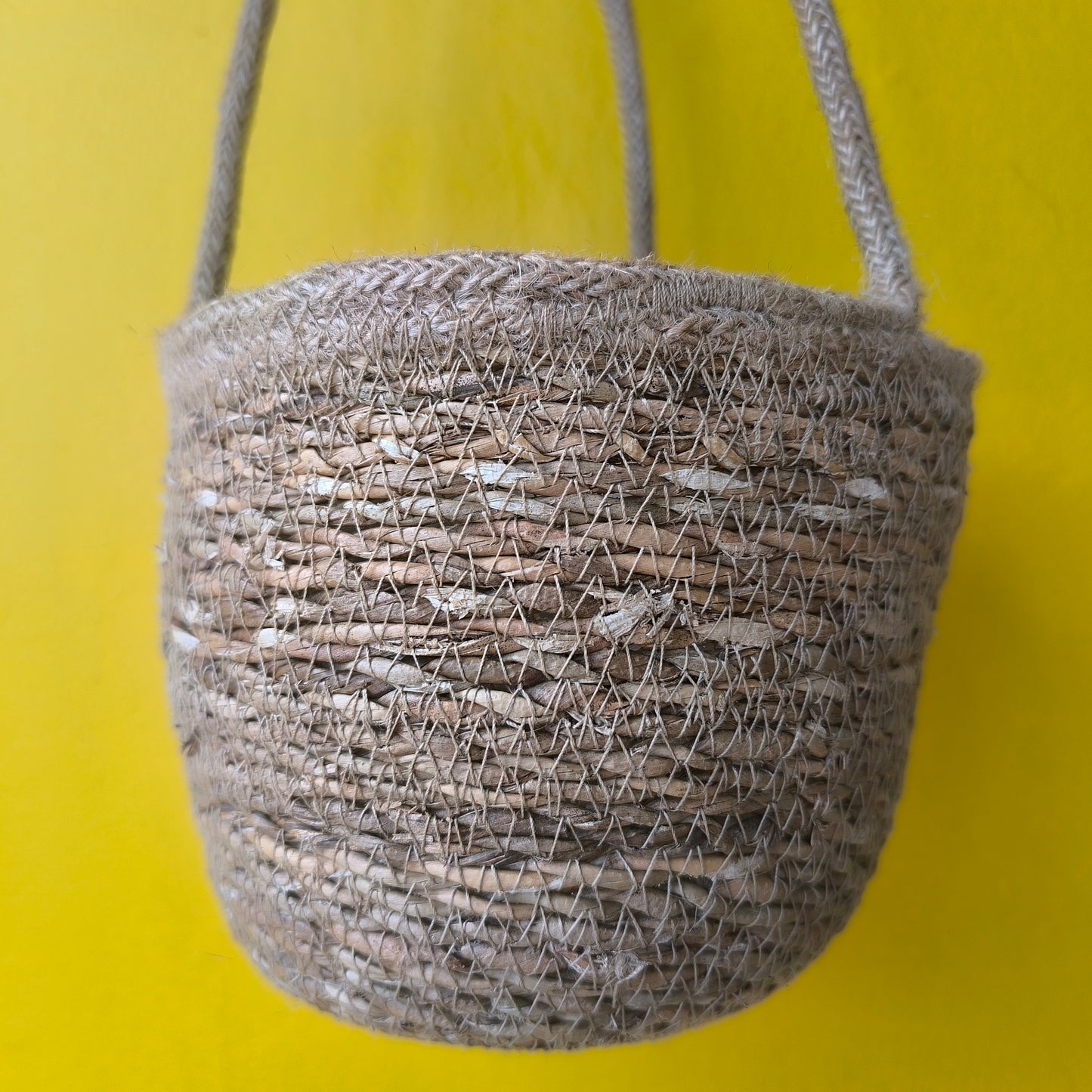 Hanging Baskets