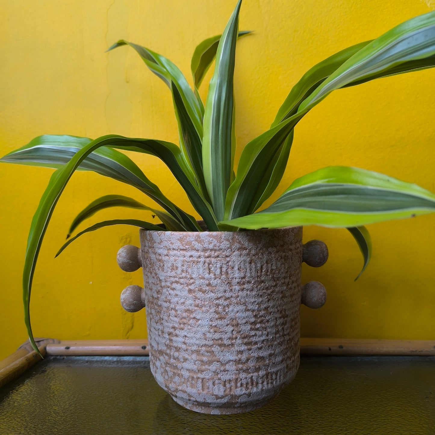 Pot - Sophia Sand