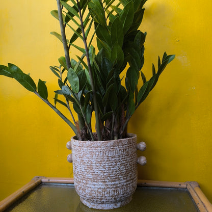 Pot - Sophia Sand