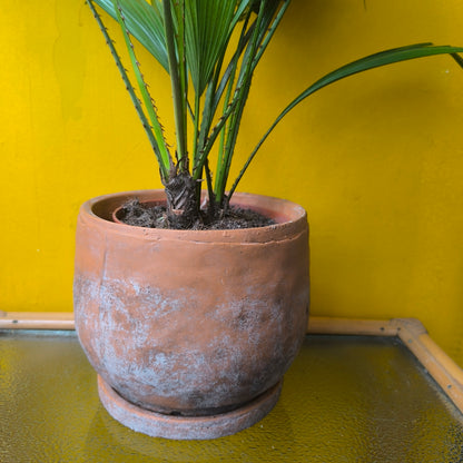 Pot - Vera Terra