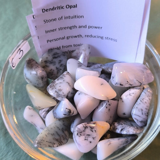 Dendritic Opal Tumbles