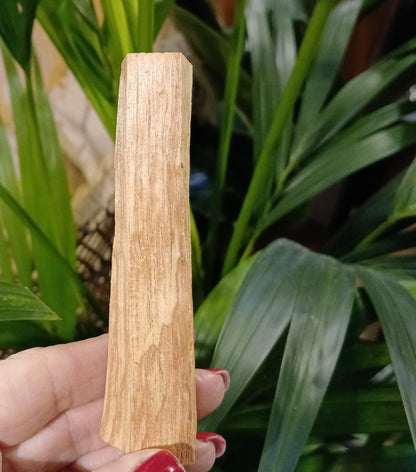 Sage/Palo Santo for Cleansing