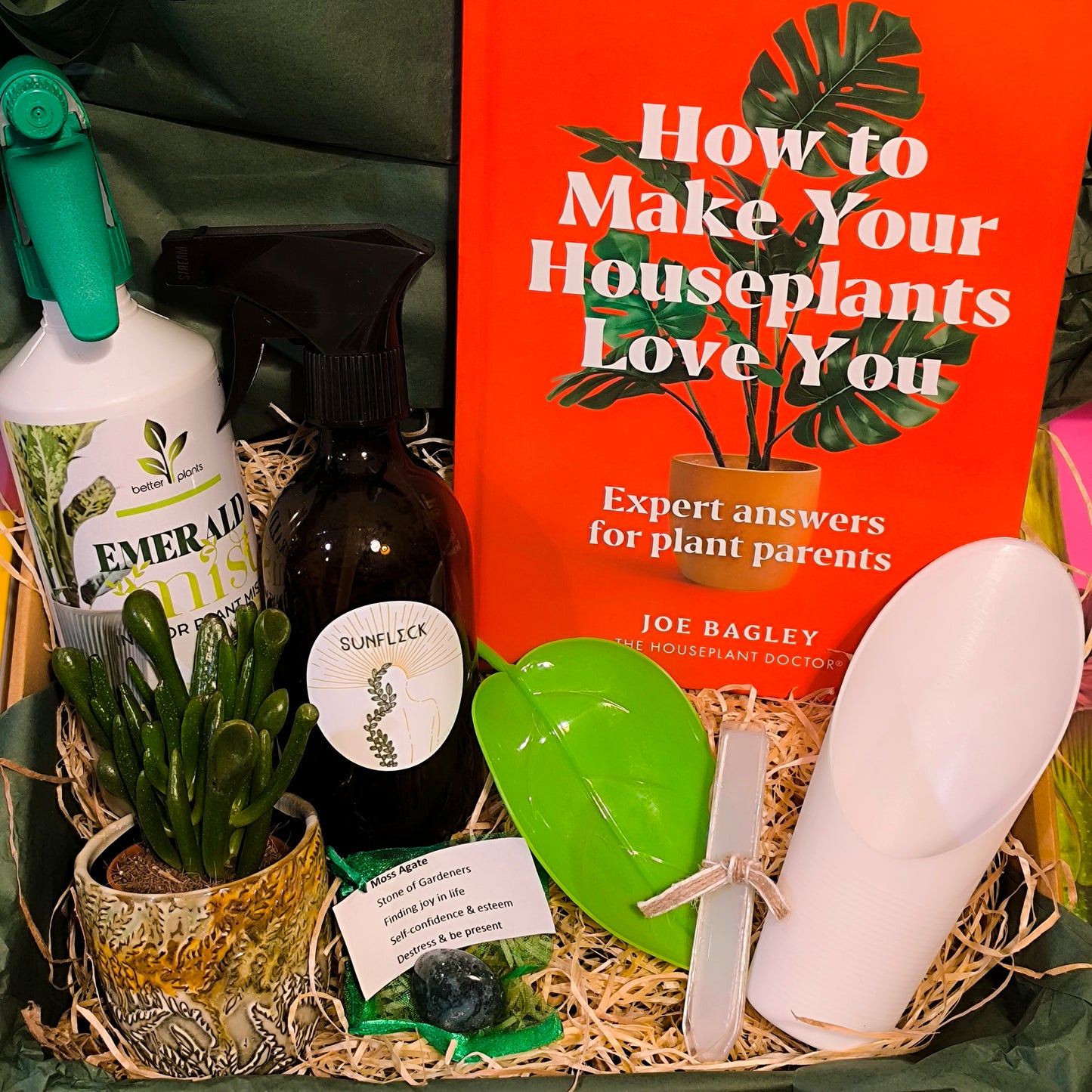 "Beginner Houseplant Gardener" Giftbox