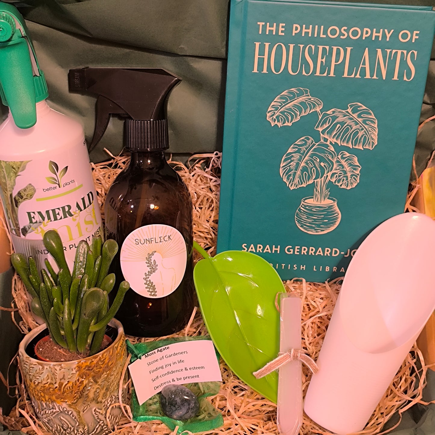 "Beginner Houseplant Gardener" Giftbox