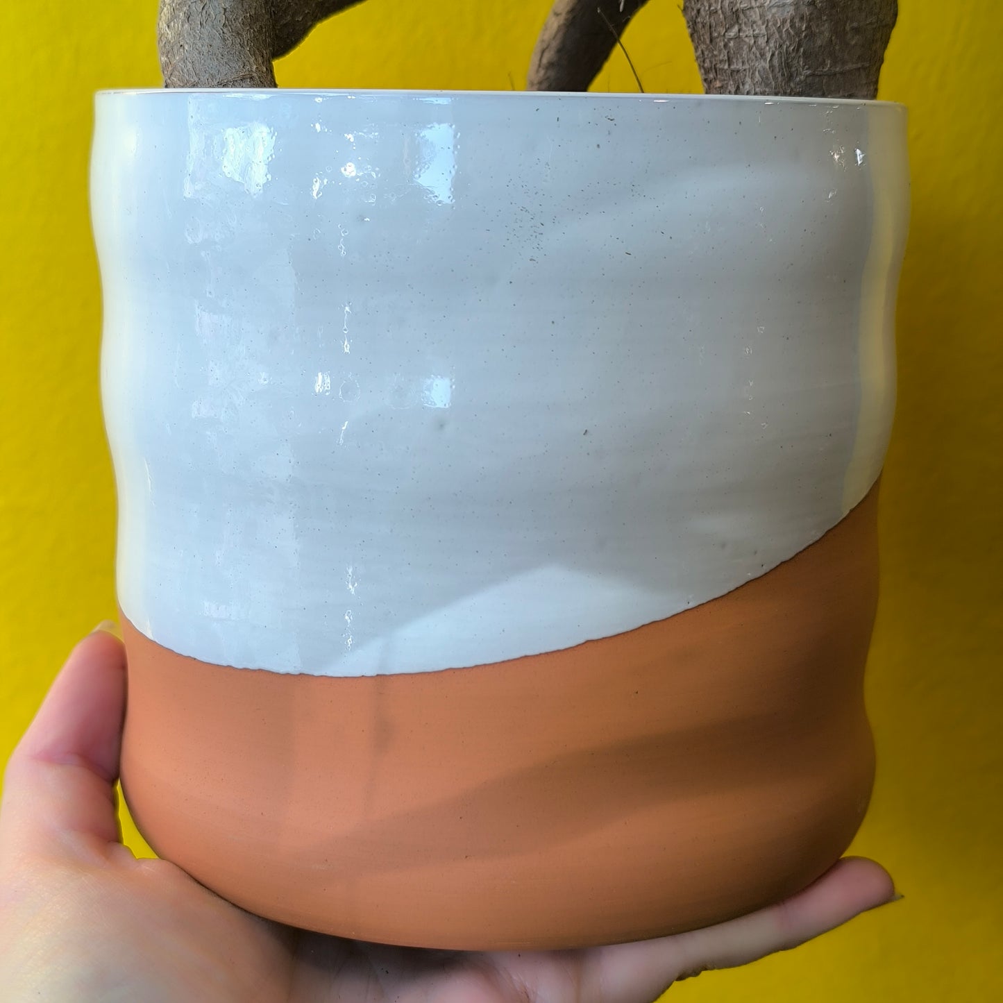 Pot - Odin Terracotta