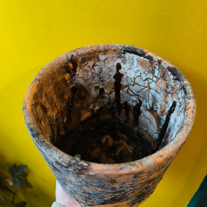 Pot - Hars Terracotta