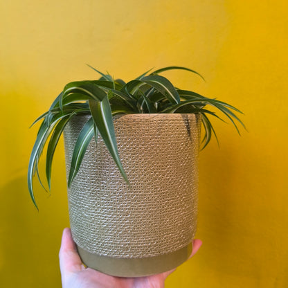 Pot - Sage Ceramic Basket