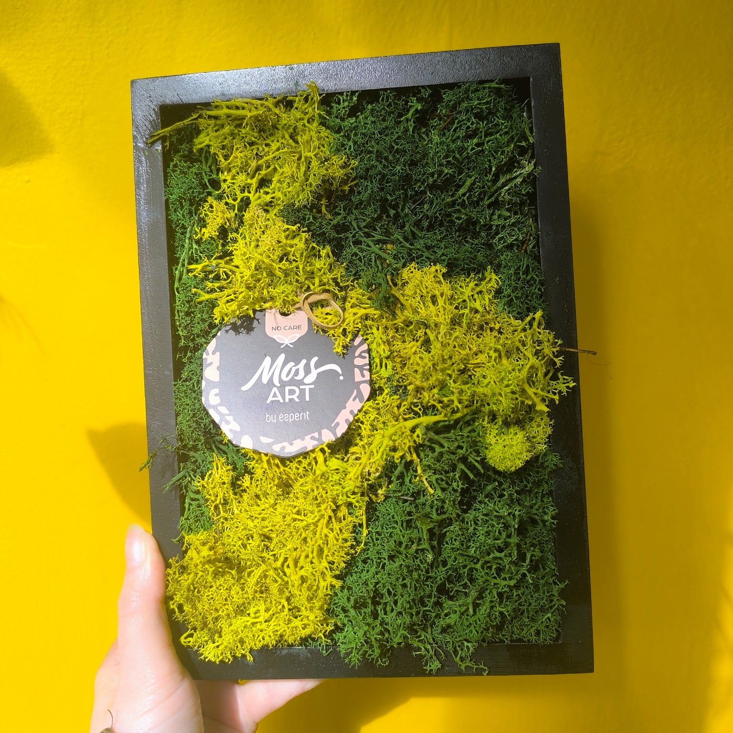 Moss Art Framed