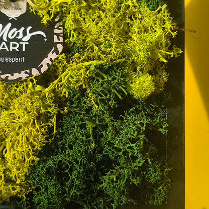 Moss Art Framed