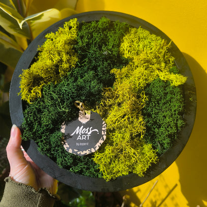 Moss Art Framed